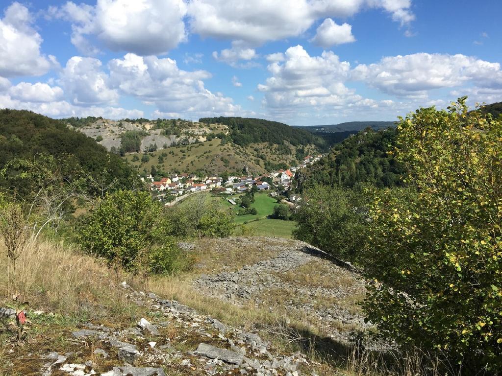 Haus "Am Muehlheimer Berg" Mörnsheim Dış mekan fotoğraf